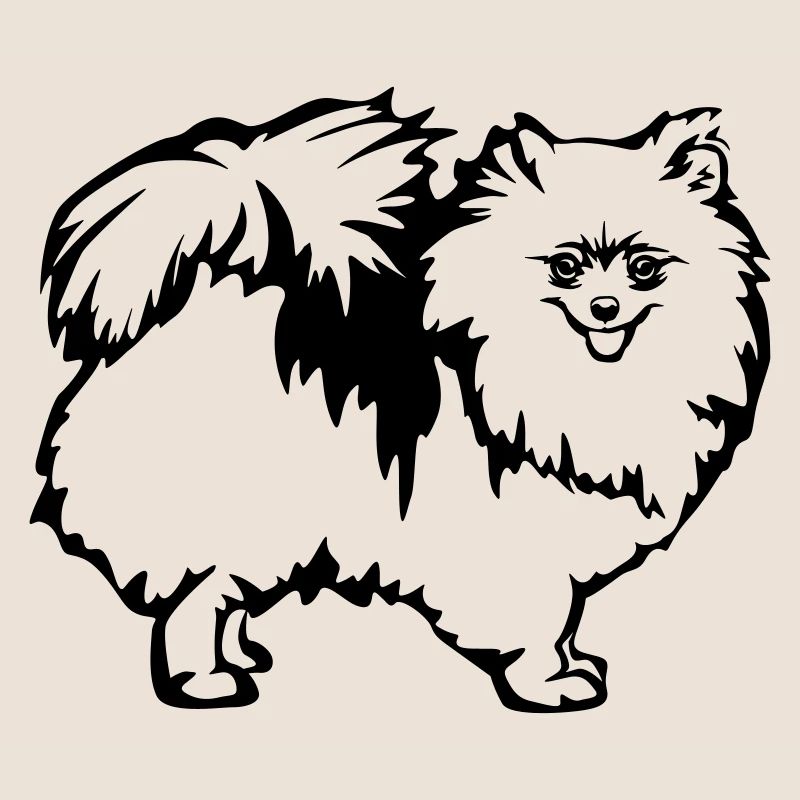 Spitz nain
