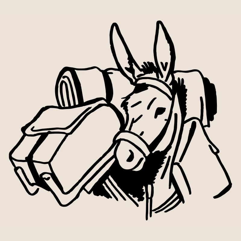 âne bâté