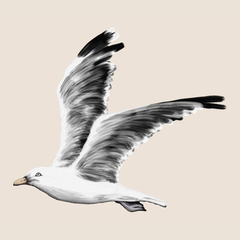 gull