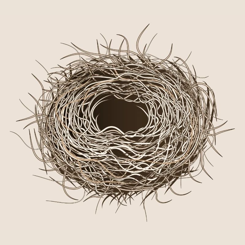 leeres Vogelnest oder Osternest zum Frühling