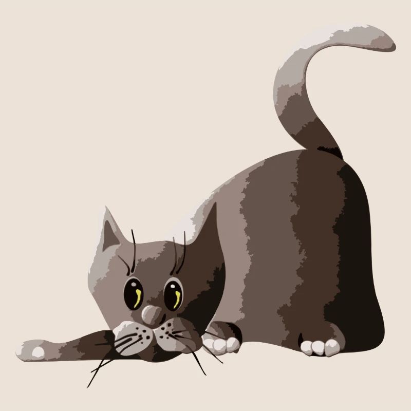 chat