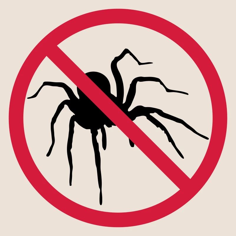 aucune araignée interdit bouclier conception araignée cl