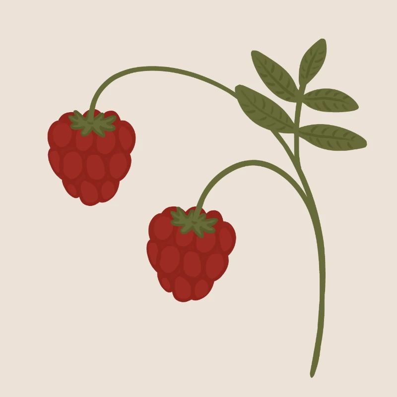 Himbeeren