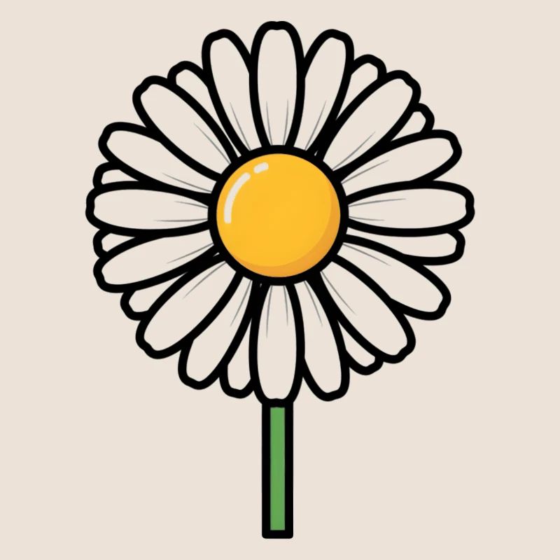 daisy
