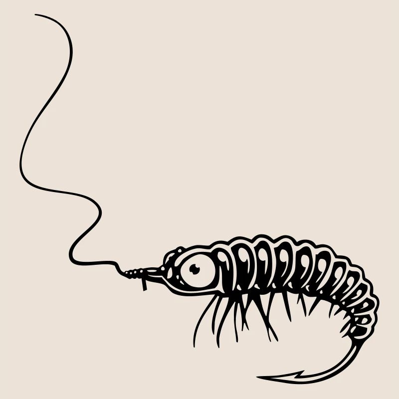 NYMPHE
