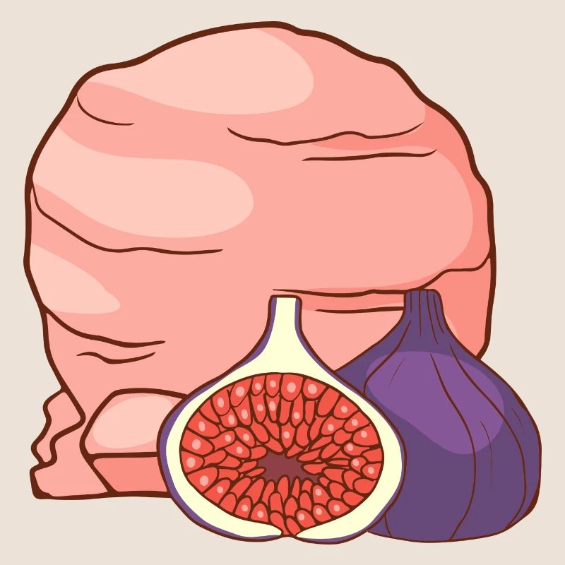 Feigenfrucht Eis Speiseeis Eiskrem Eiscreme