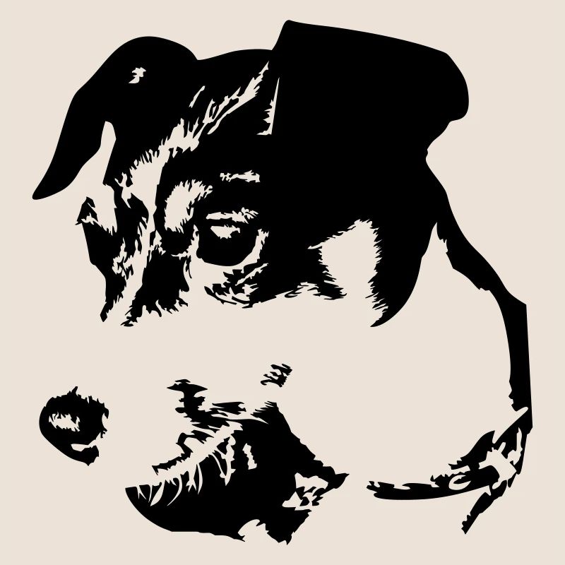 Jack Russell Terrier Kopf
