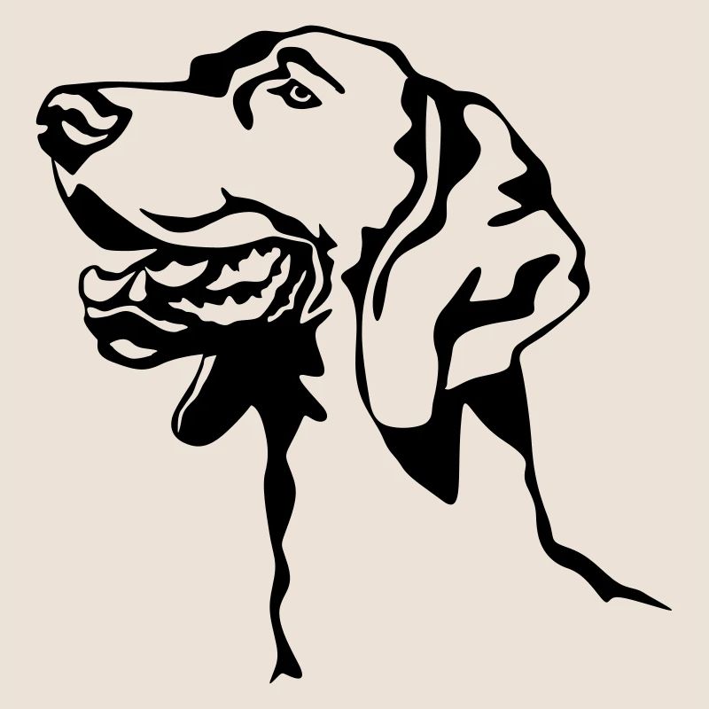 Tête de braque de Weimar