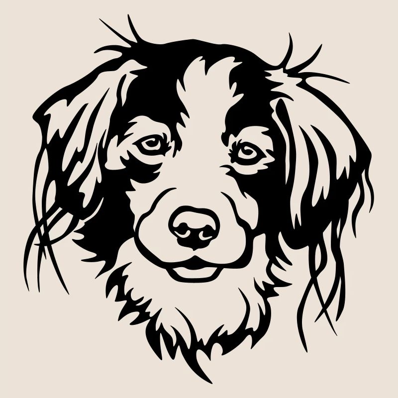 Kooikerhondje head