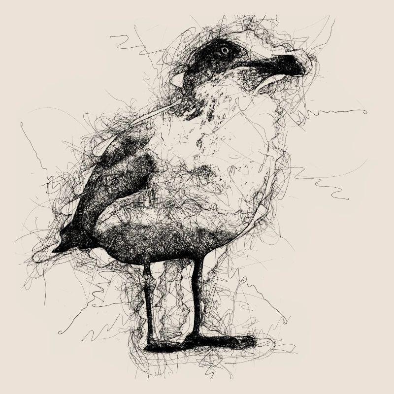 Möwe