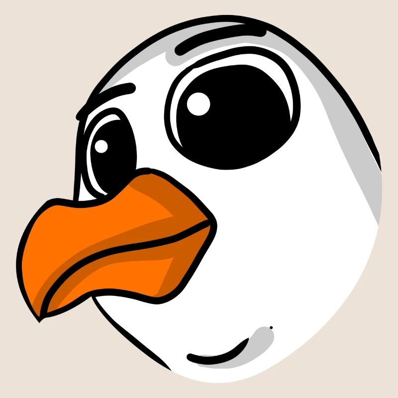Möwe Kopf