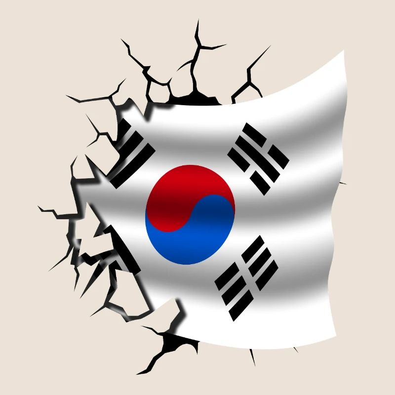 Drapeau de la Corée - Corée - Drapeau Broken Design
