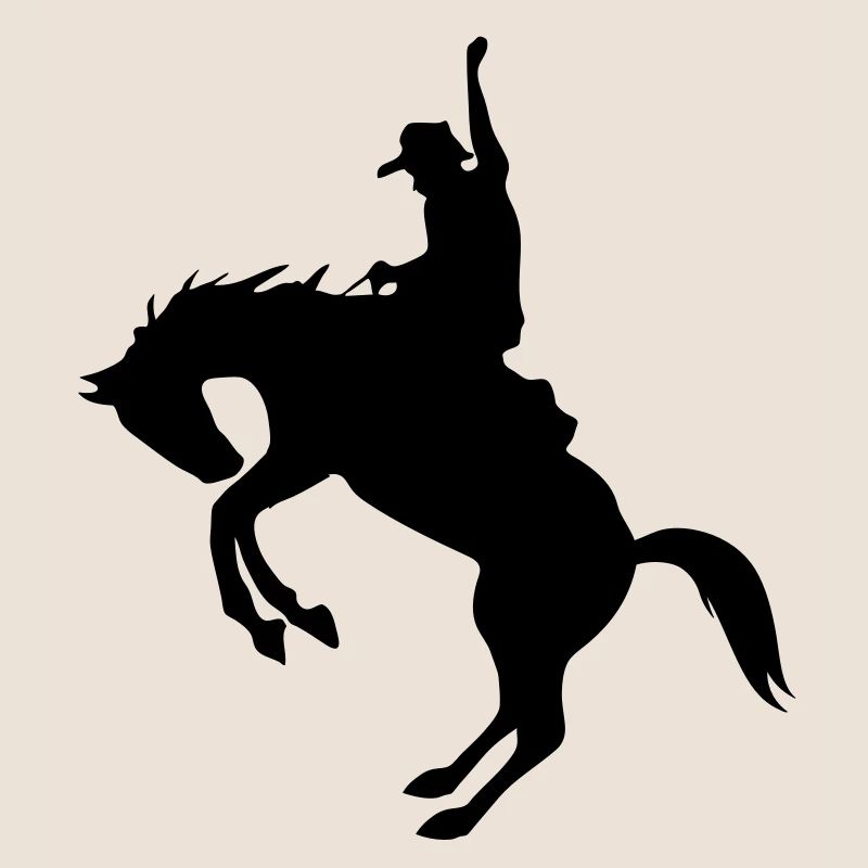 Rodeo de