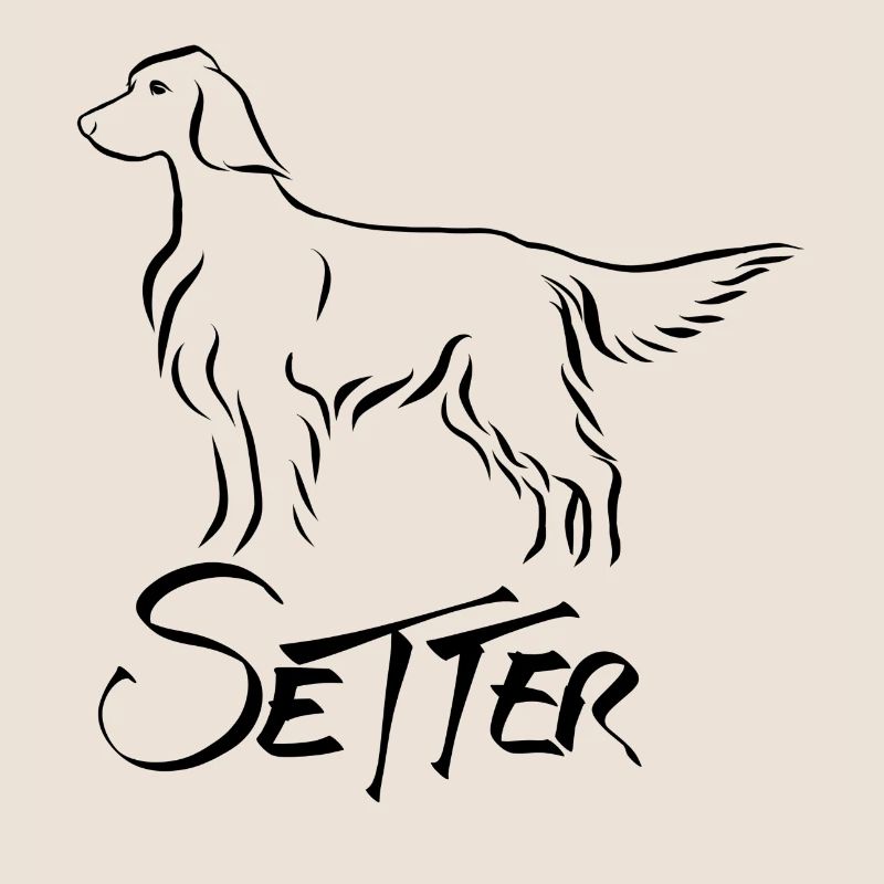 Setter debout