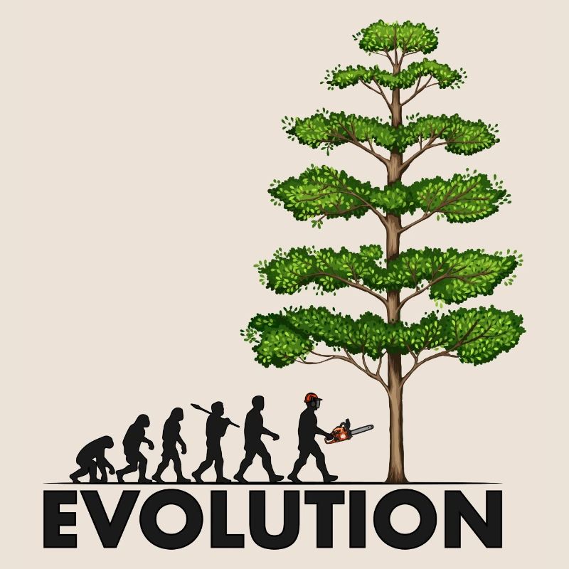 Tronçonneuse Evolution Grey Big Tree