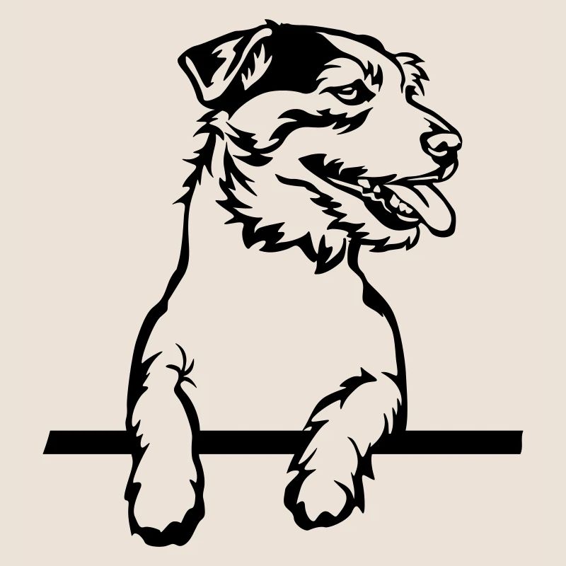 Jack Russell Terrier