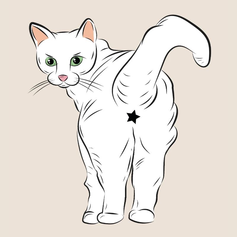 Chat blanc avec logo étoile