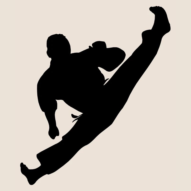 Jumpkick Geri Kick Karate oder Teakwondo