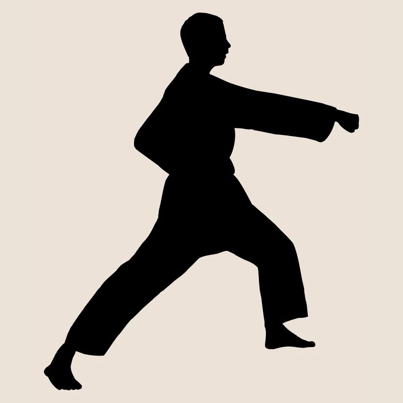 Punsch Karate oder Teakwondo Punsch