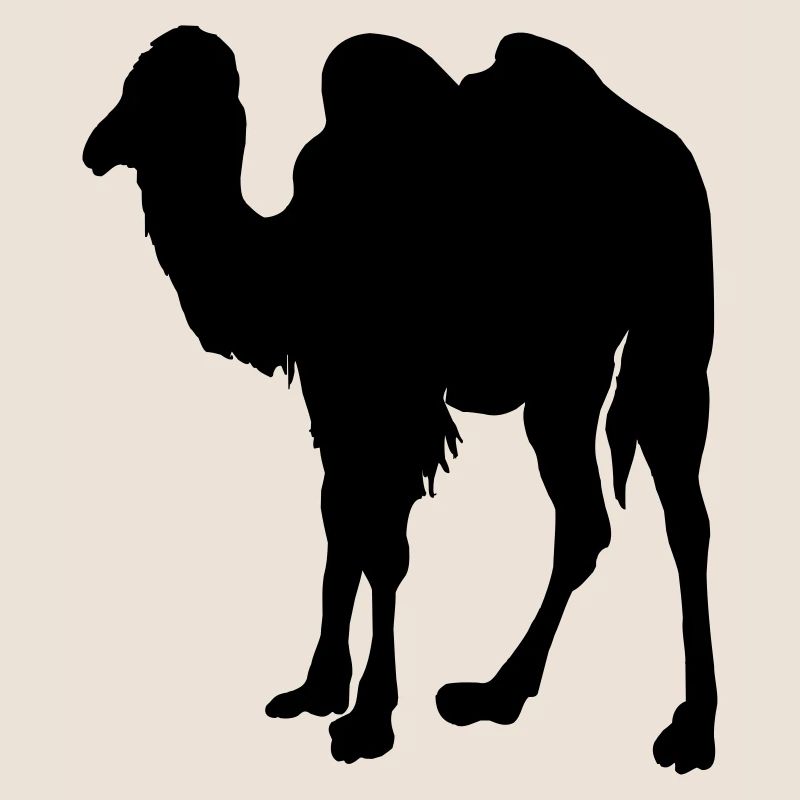 Kamel, Kamel