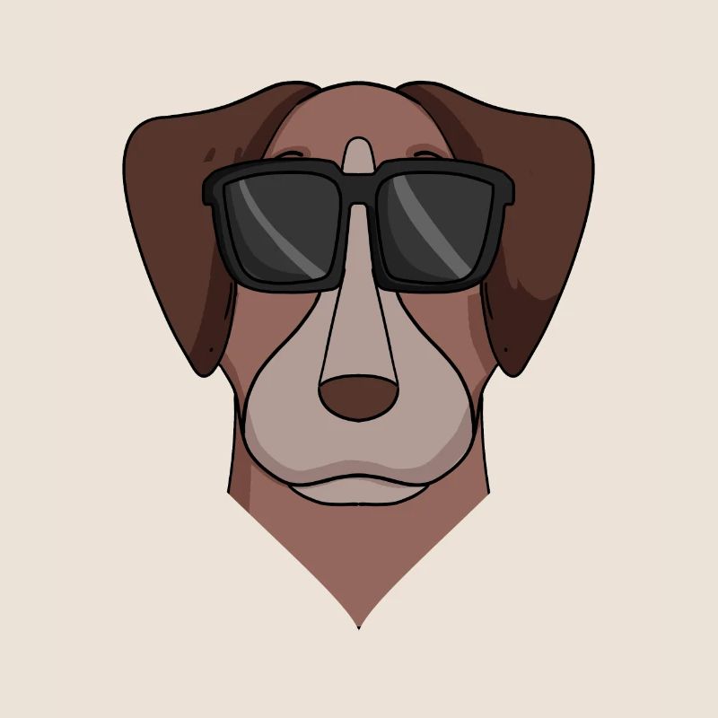 Pointer Hund Hunderasse