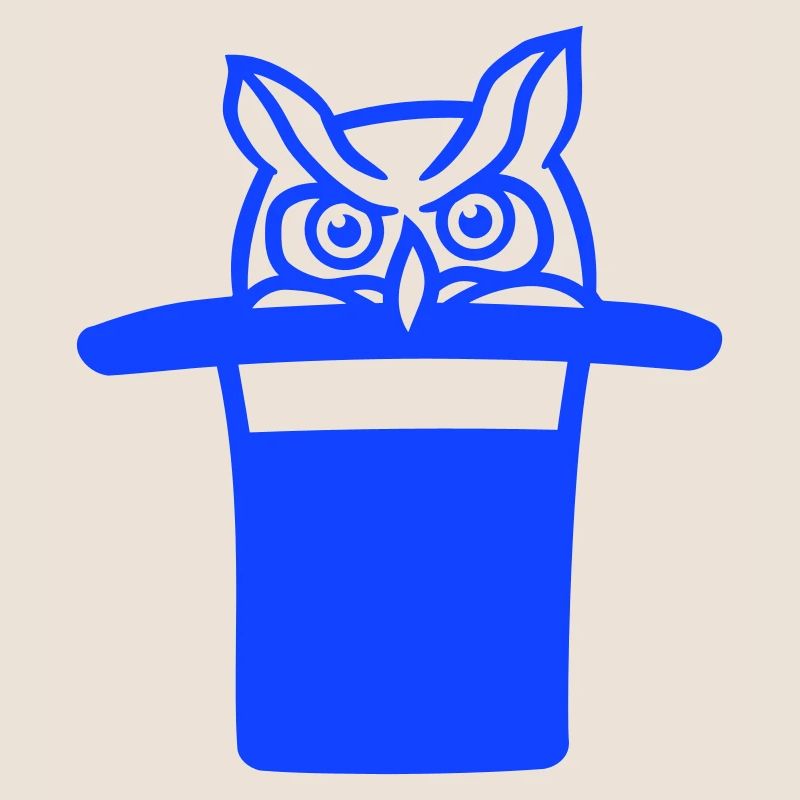 Owl Top Hat Wizard Magic Trick Magic Trick