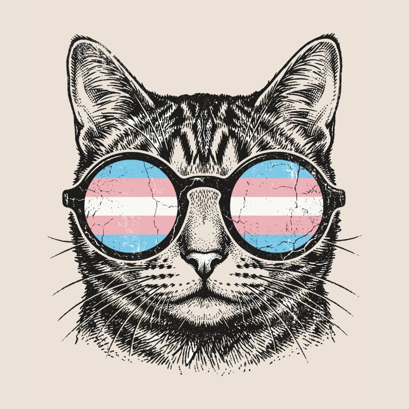 LGBT-Pride-Monat – Trans-Pride-Katze