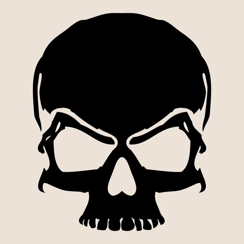 skull pirate skull