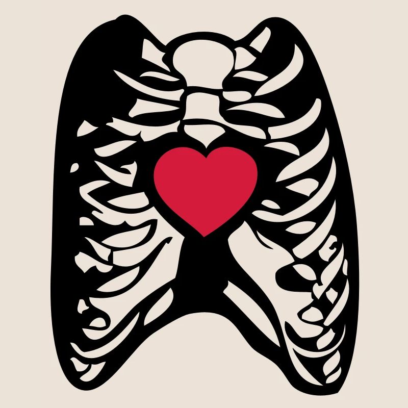 Skeul human skeleton human heart