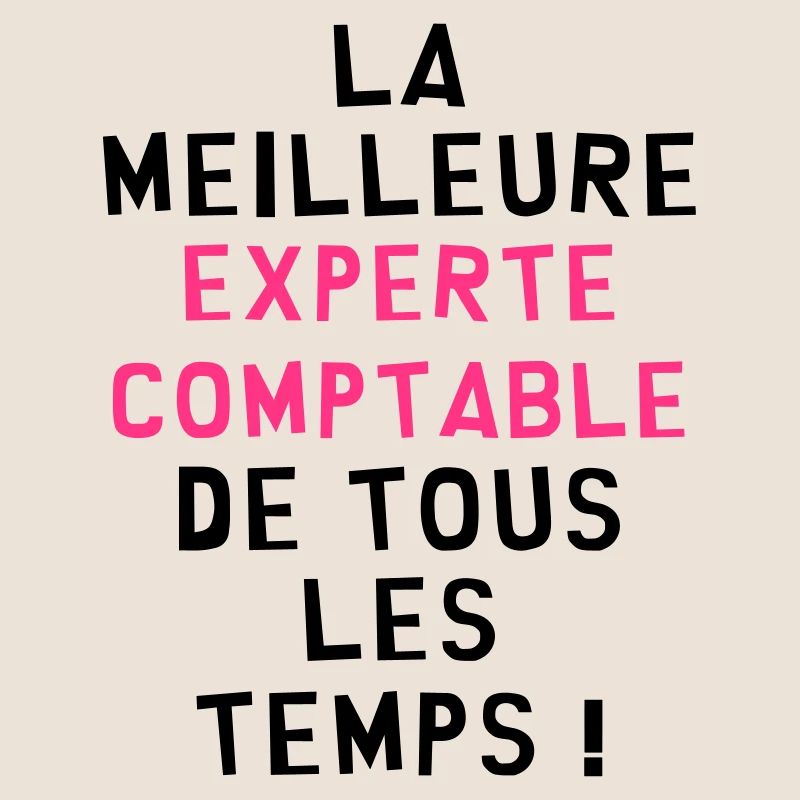 Expert Comptable / Comptabilité / Comptable /