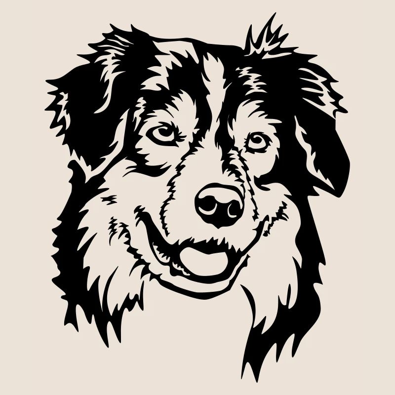 Australian Shepherd Kopf