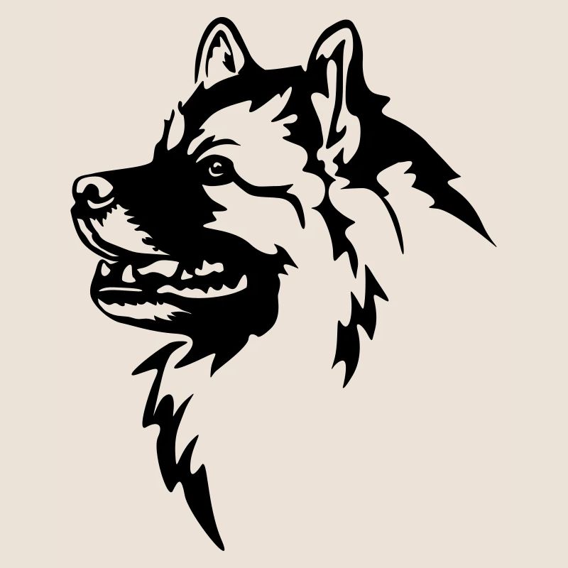Wolfsspitz Kopf