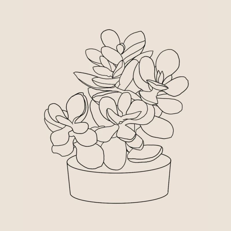 Planter
