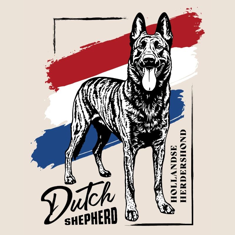 Dutch Shepherd – Dutchie