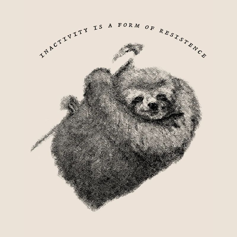 Faultier_Sloth