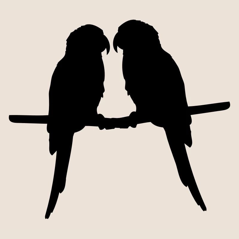 Perroquets quelques oiseaux