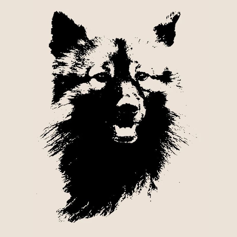 Wolfsspitz head