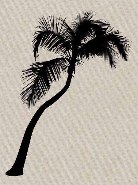 Palme