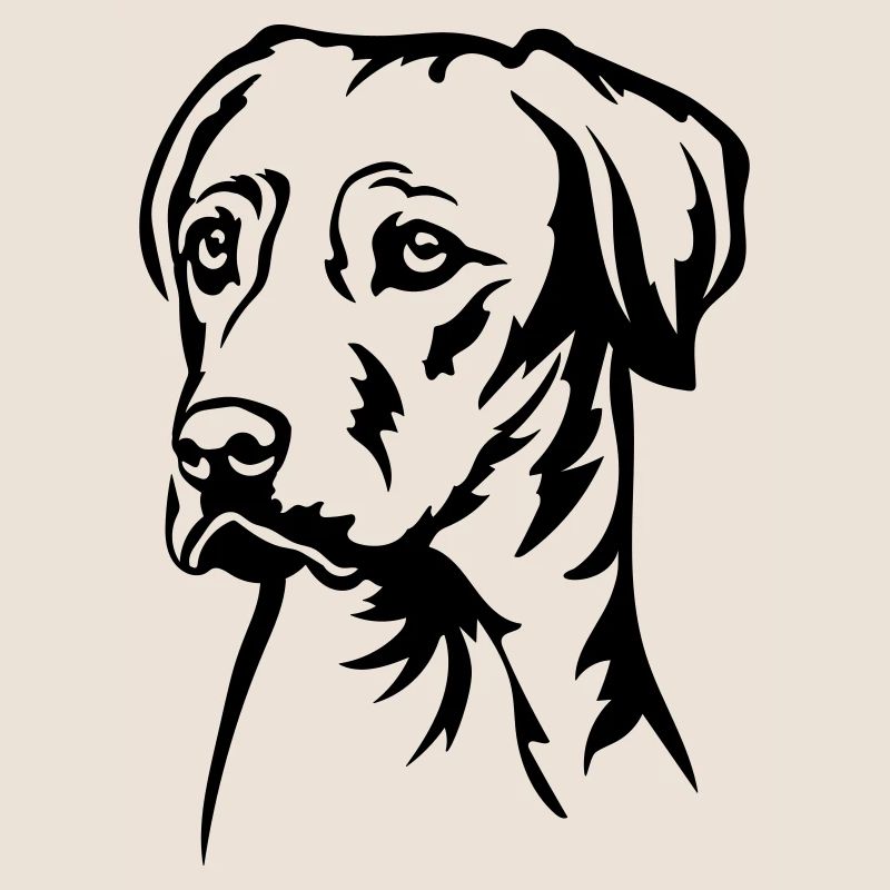 Rhodesian Ridgeback Kopf