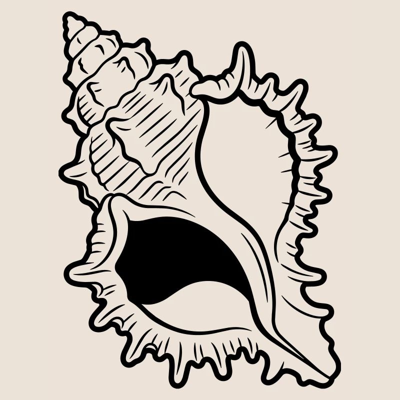 shell