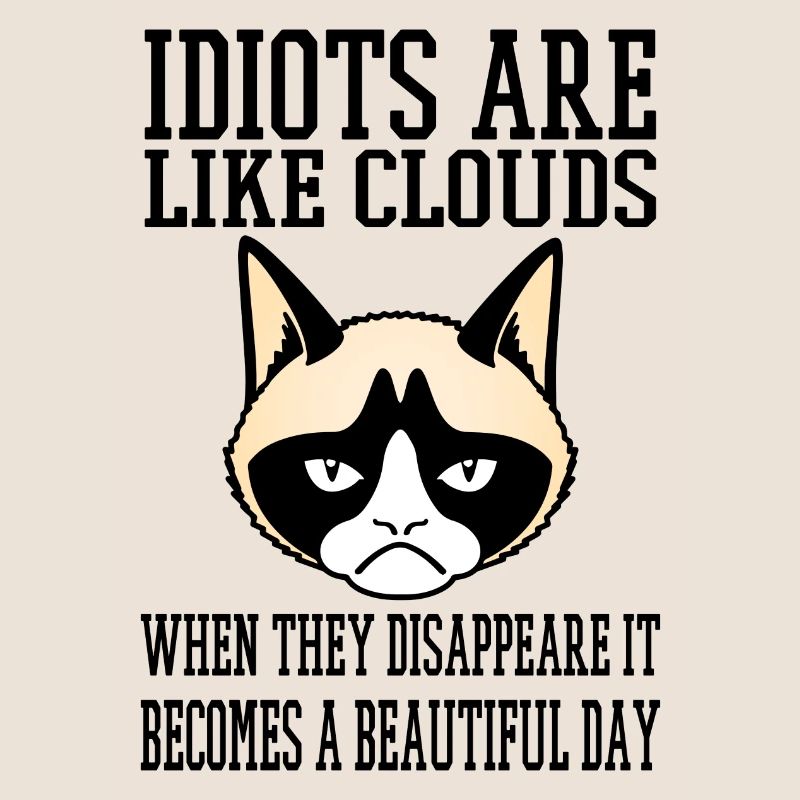 grumpy cat Idiots like clouds