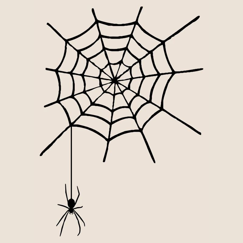 Cobweb with spider