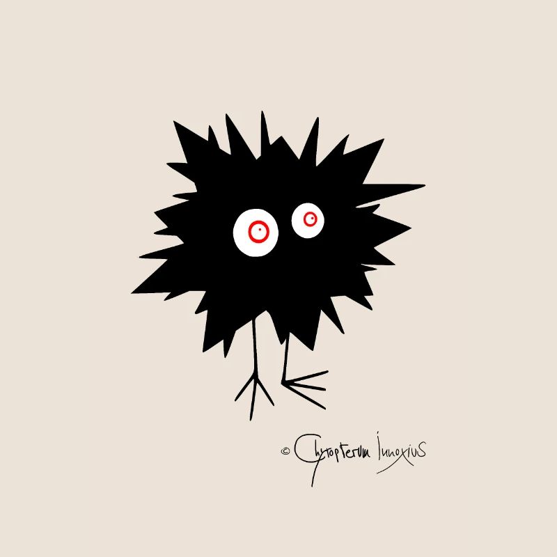 Woolly Beastie flashed © Chyropterum Innoxius