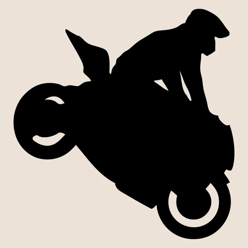 Smash stunts man motorcycle 1234