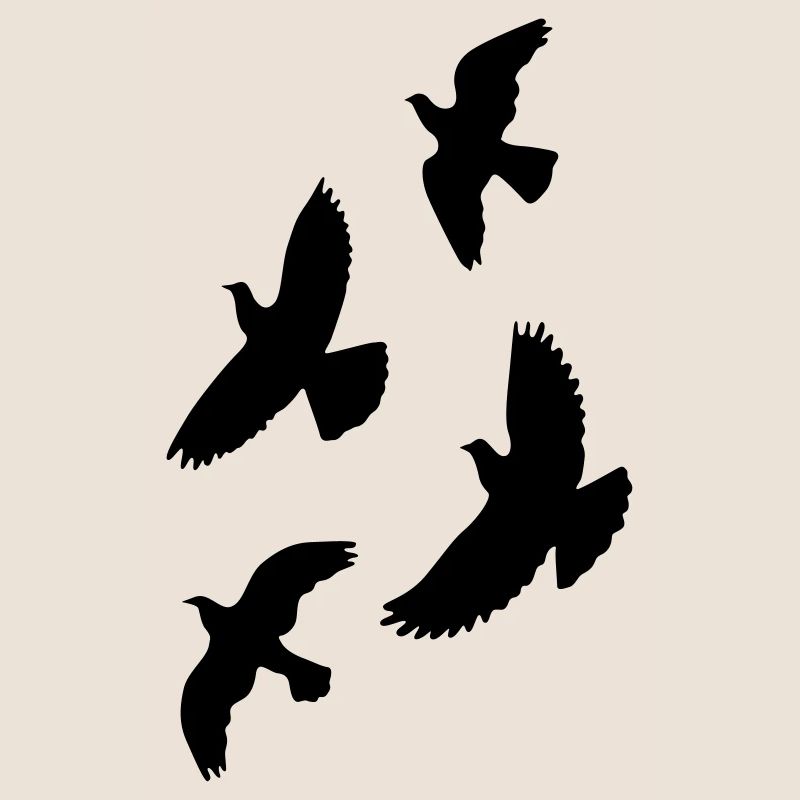 oiseaux