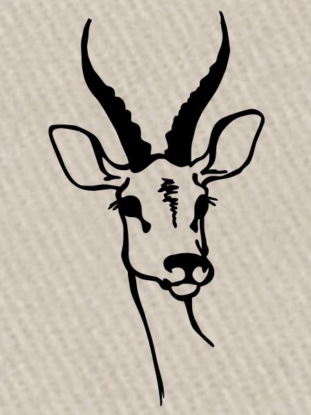 Gazelle