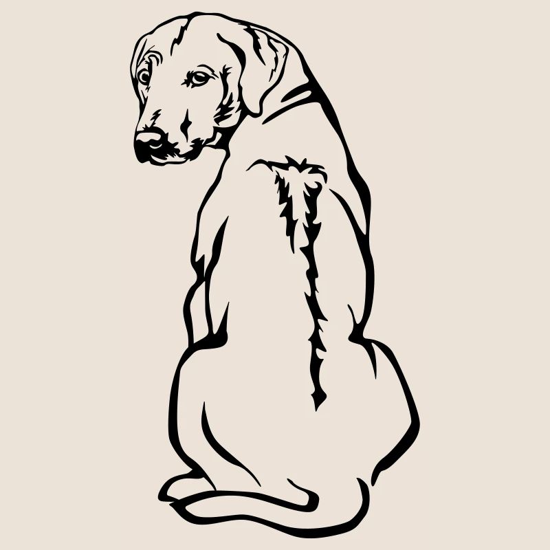 Rhodesian Ridgeback