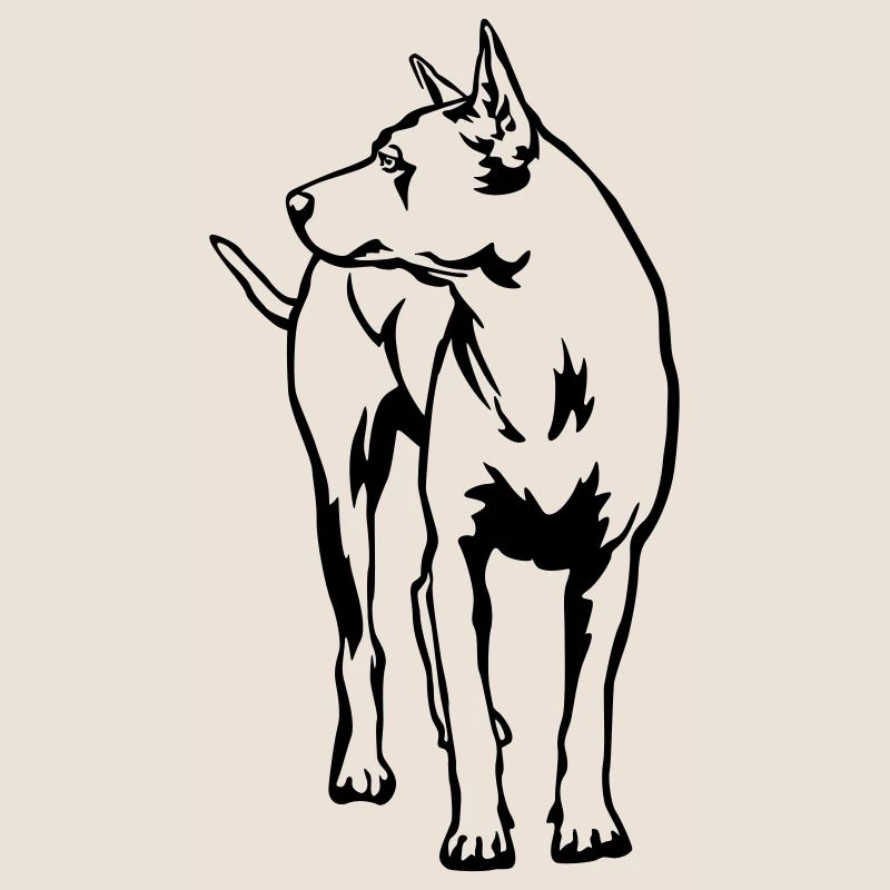 Thaï Ridgeback