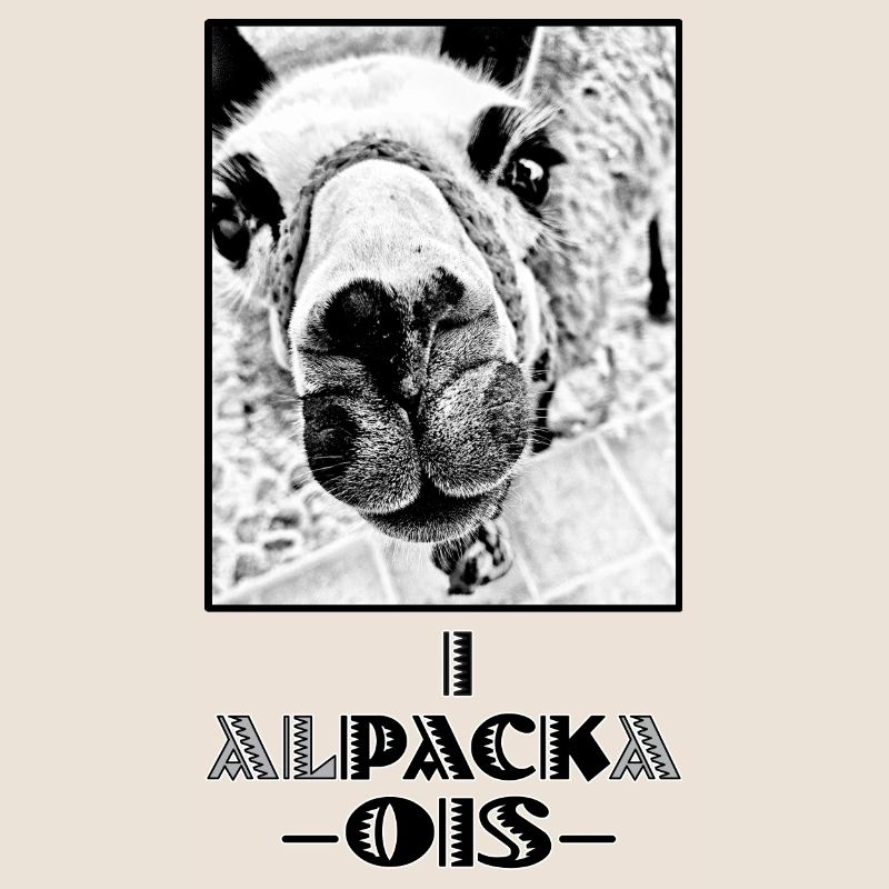 ALPACA - i pack ois - I can do everything - dialect