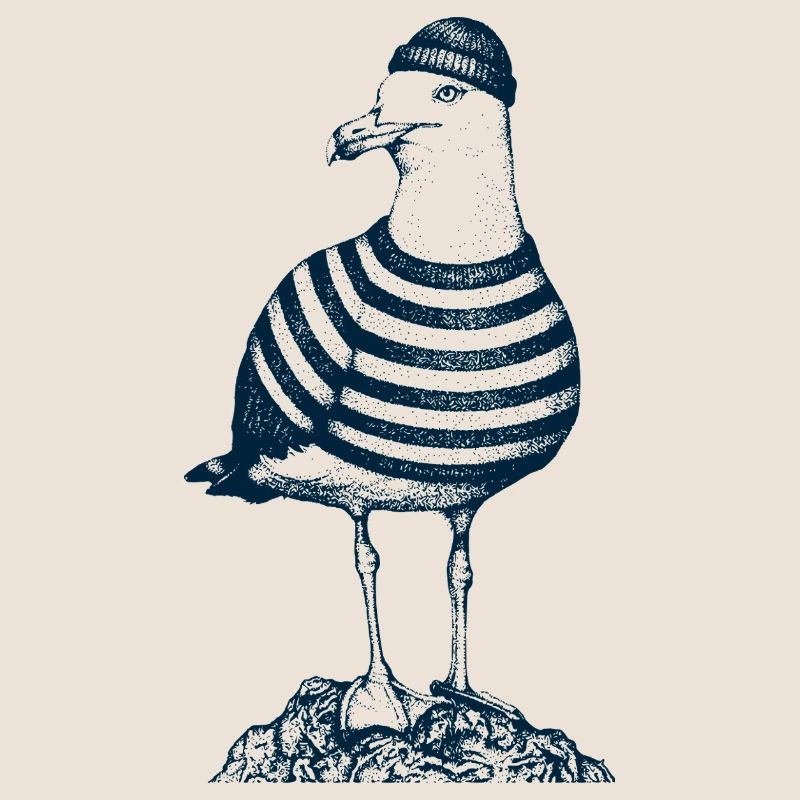Möwe mit Pulli